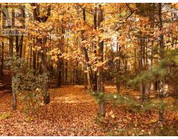 626280 15th Side Road, Mulmur, ON L9V0T4 Photo 42