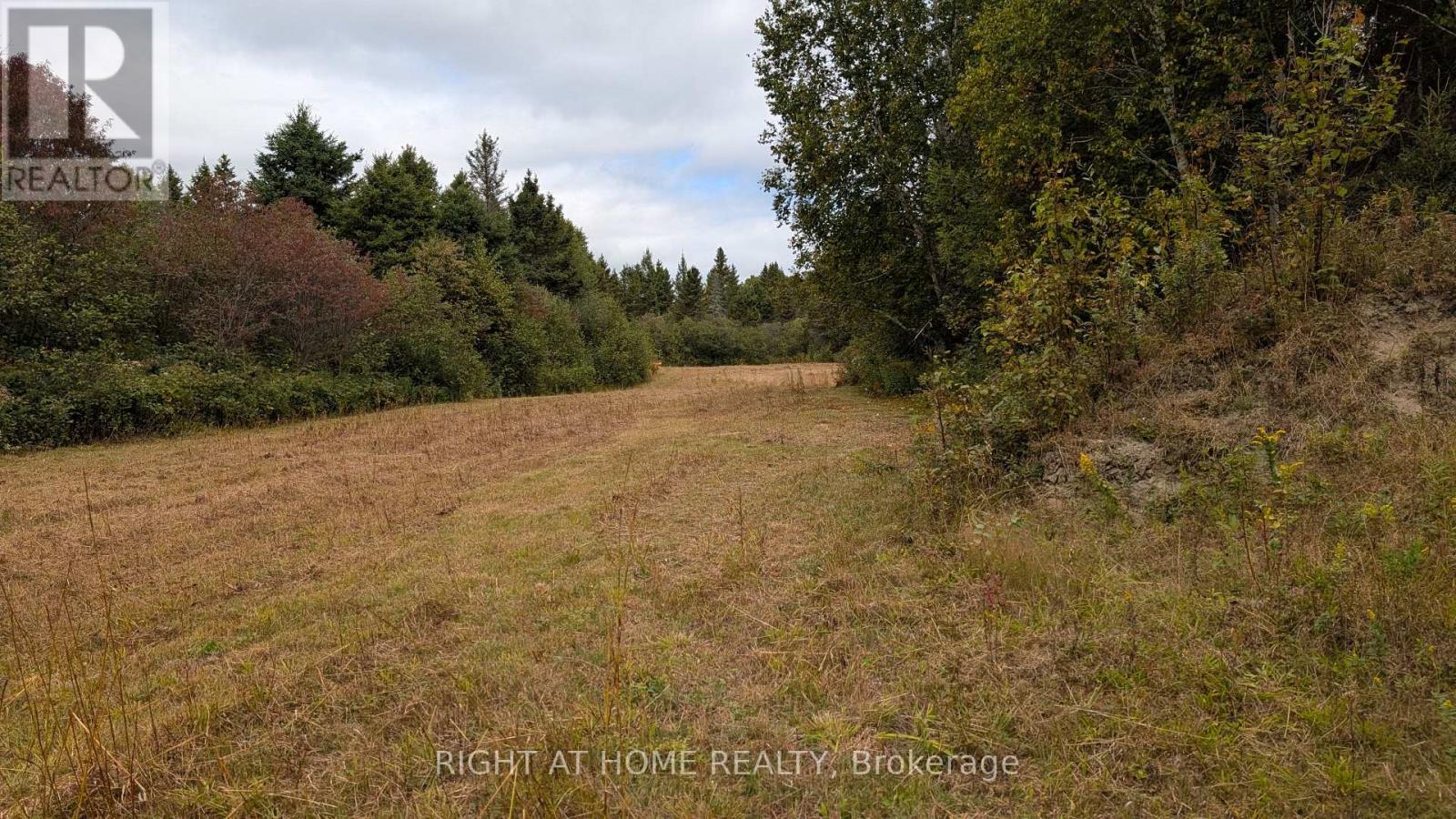 58 BELLEFEUILLE ROAD - 21