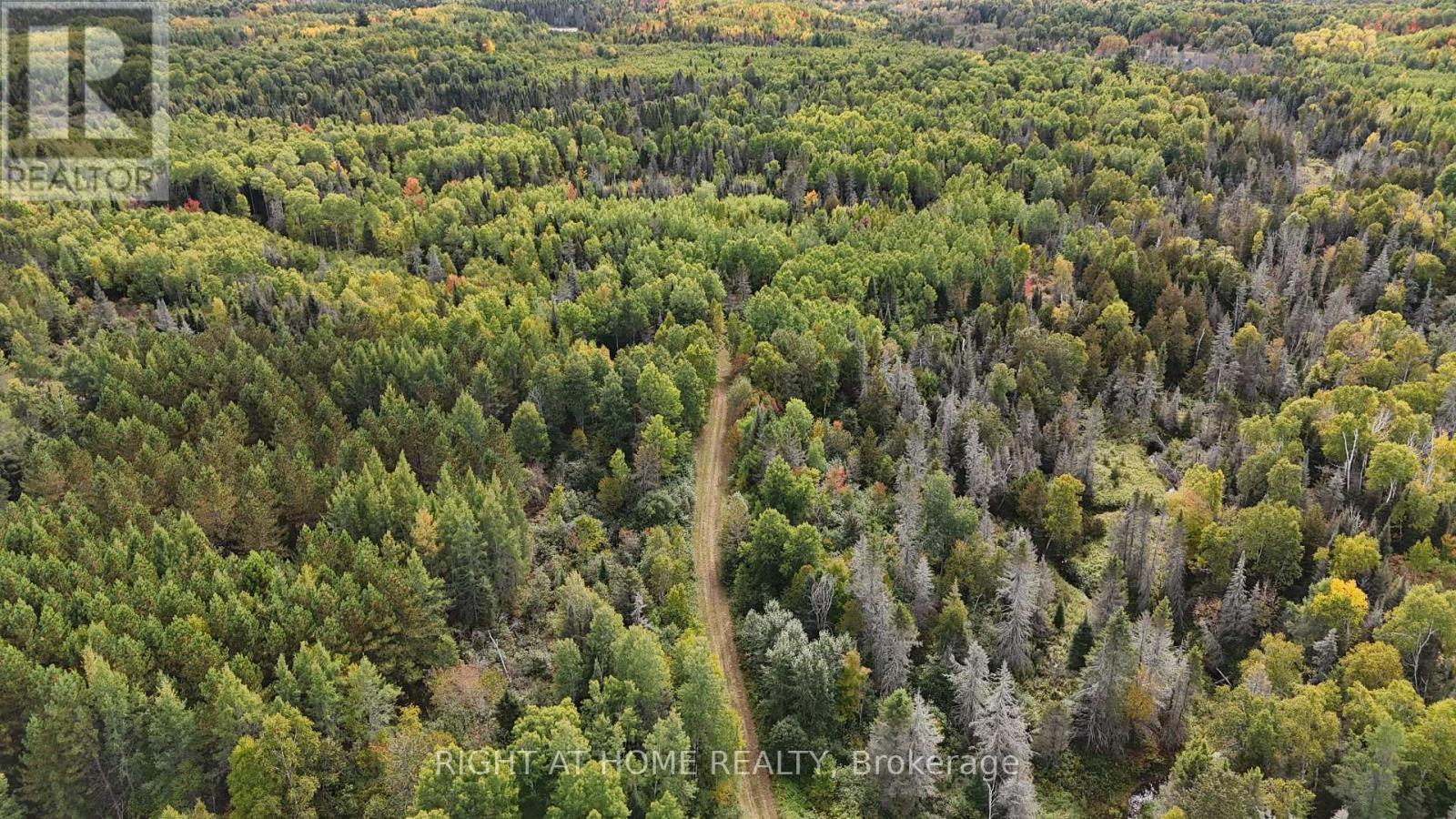 58 BELLEFEUILLE ROAD - 3