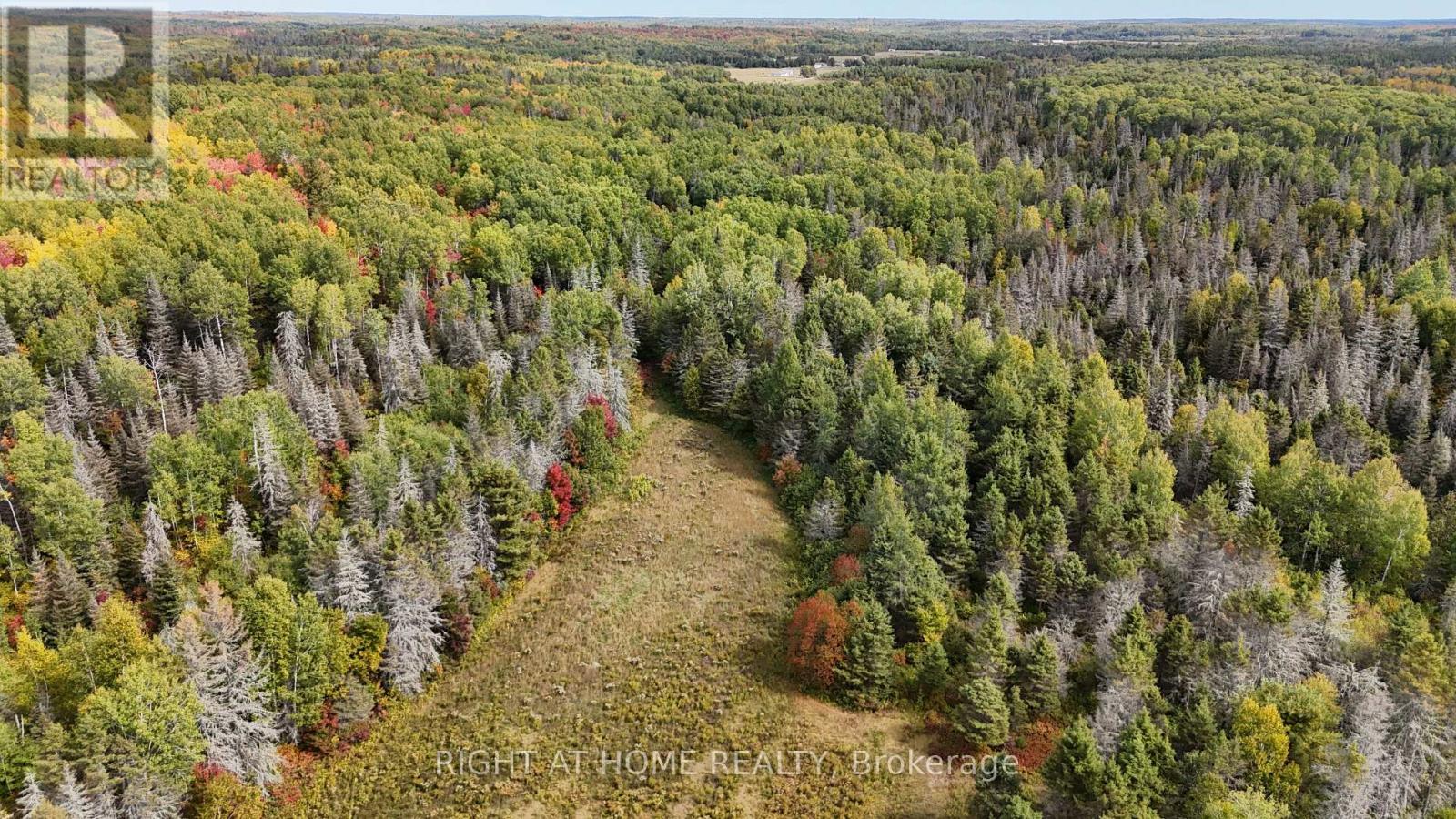 58 BELLEFEUILLE ROAD - 5