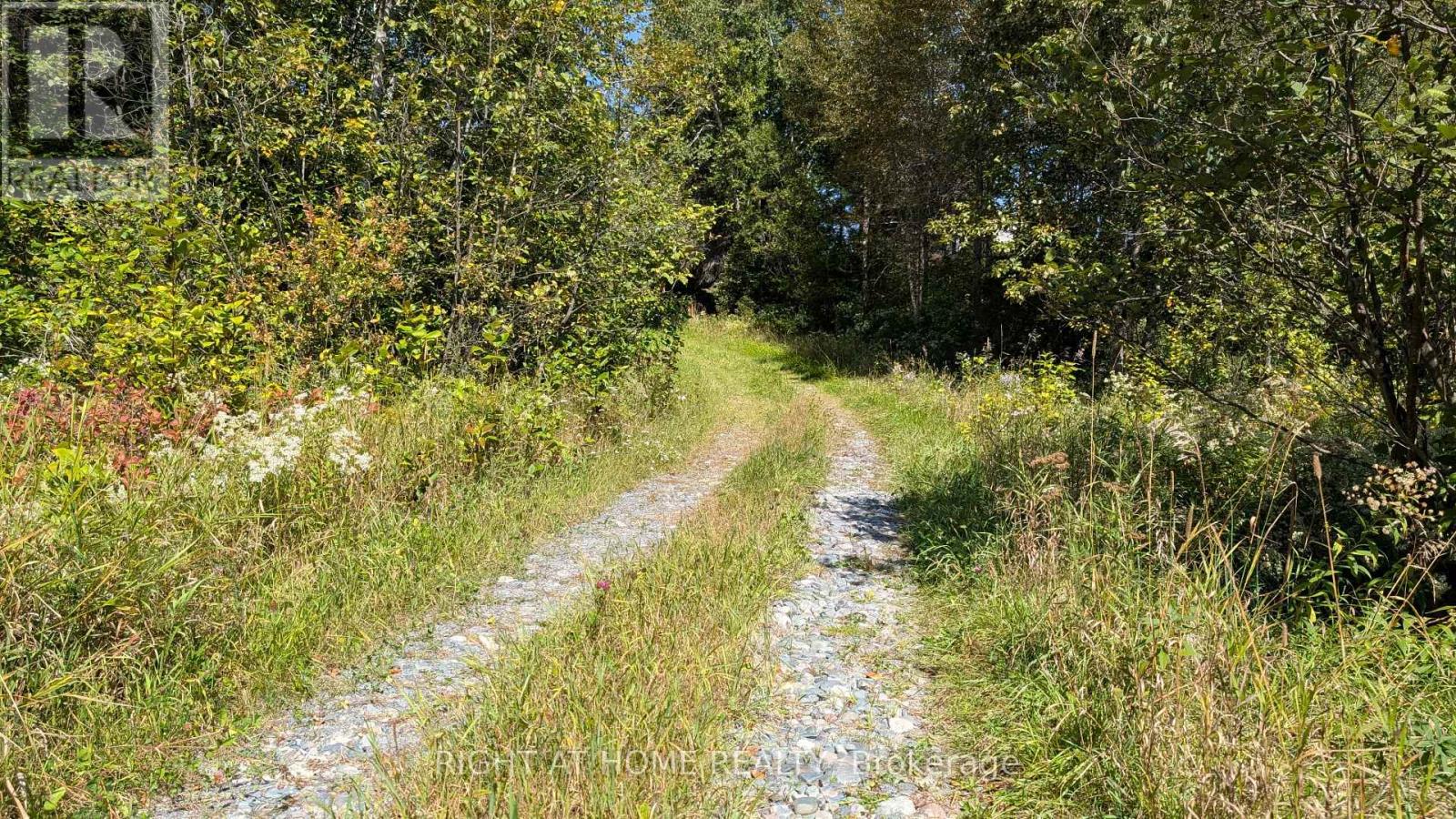 58 BELLEFEUILLE ROAD - 6