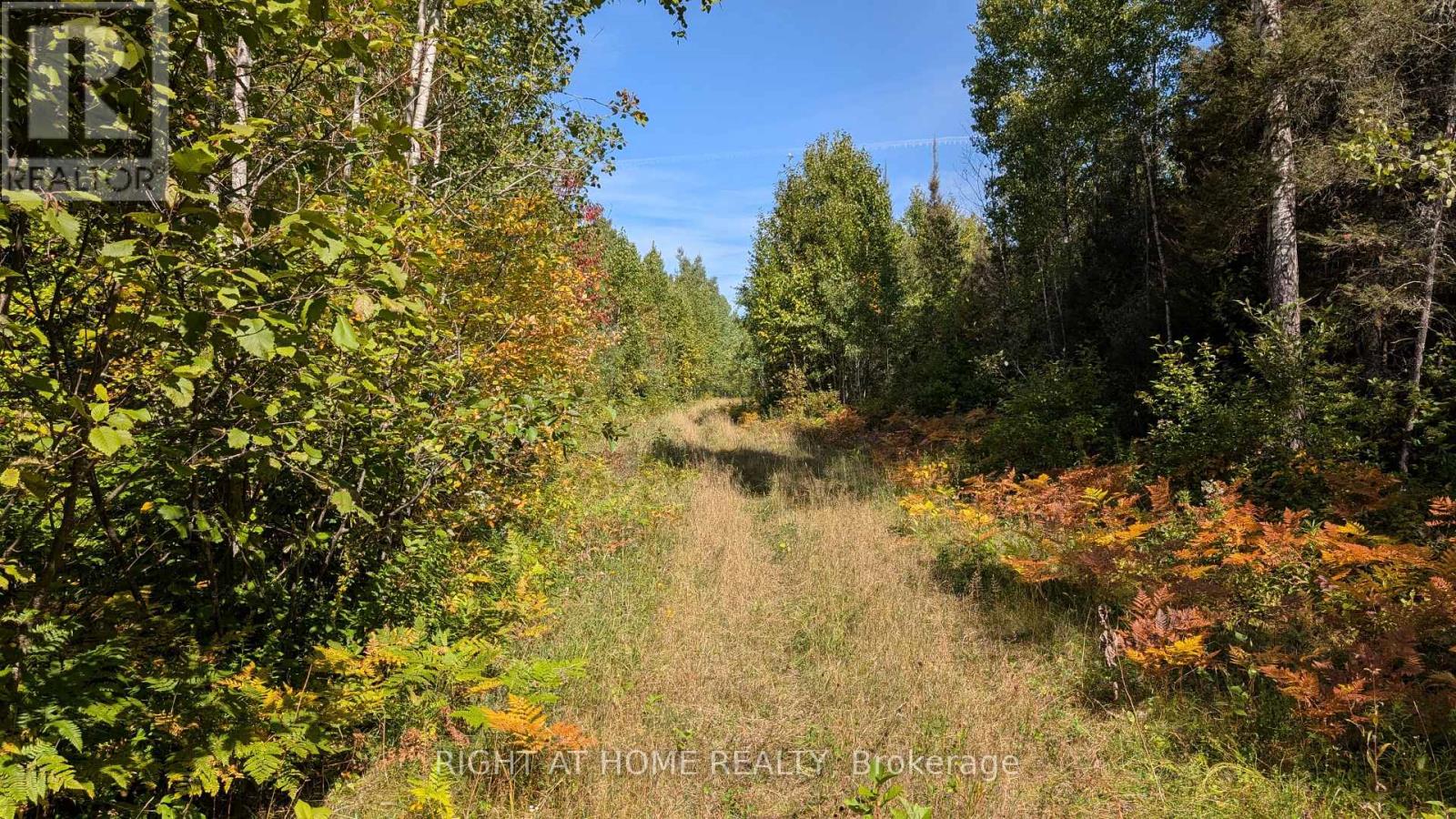 58 BELLEFEUILLE ROAD - 7
