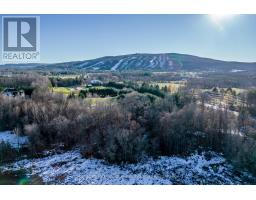 19 Raintree Court, Clearview, ON L9Y0K2 Photo 7