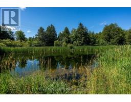 404683 Grey Road 4, West Grey, ON N0C1K0 Photo 38