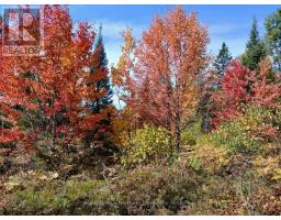 2c Taggart Lake Road, Papineau Cameron, ON P0H1V0 Photo 6
