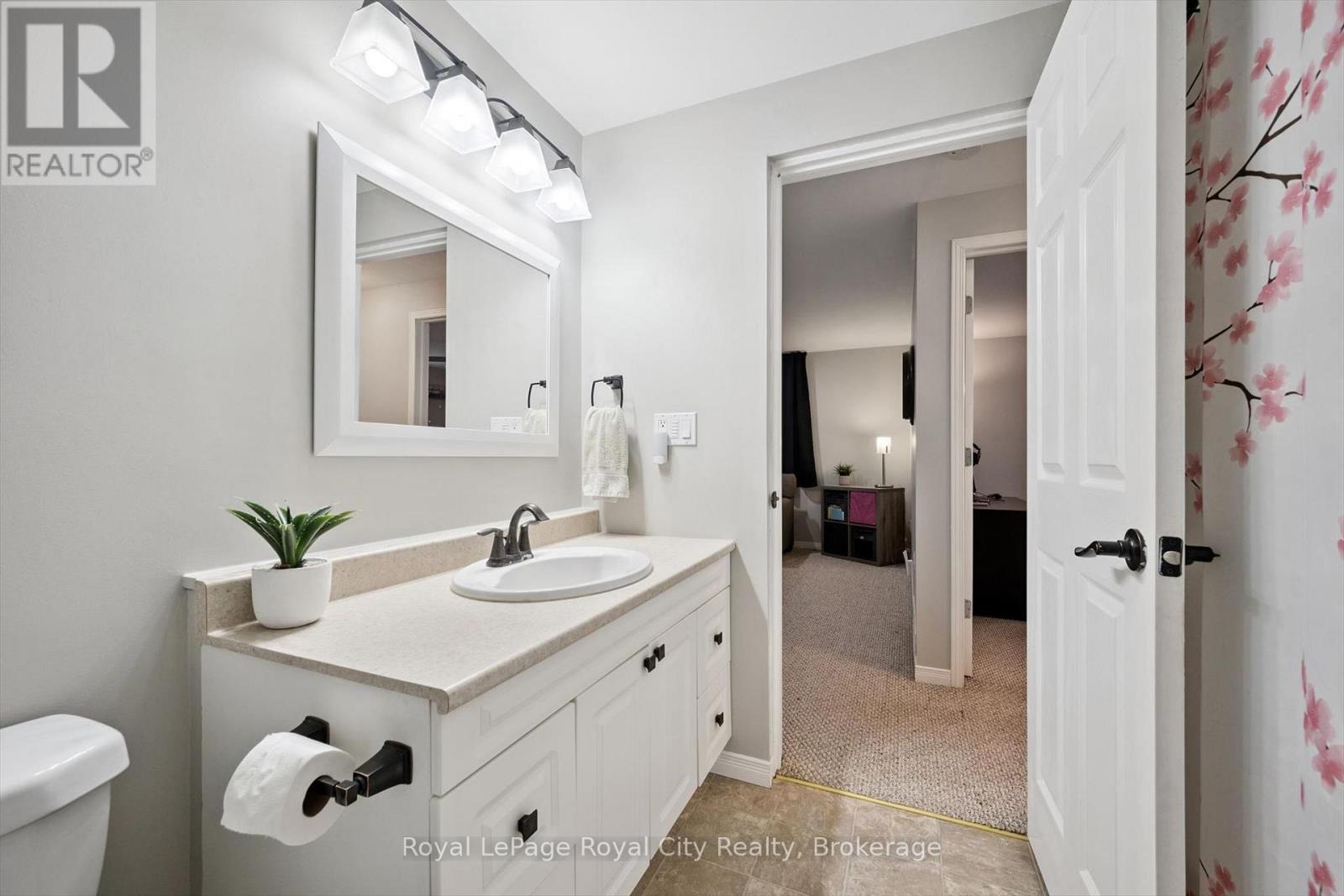 119 MEADOWRIDGE DRIVE - 24