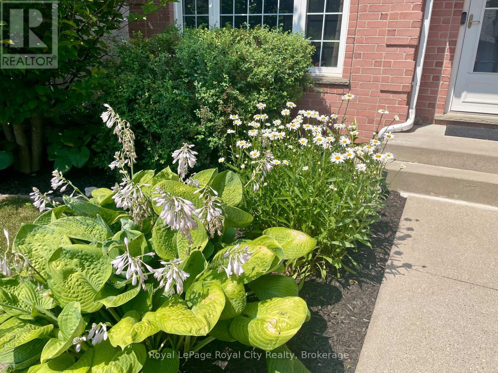 119 MEADOWRIDGE DRIVE - 34