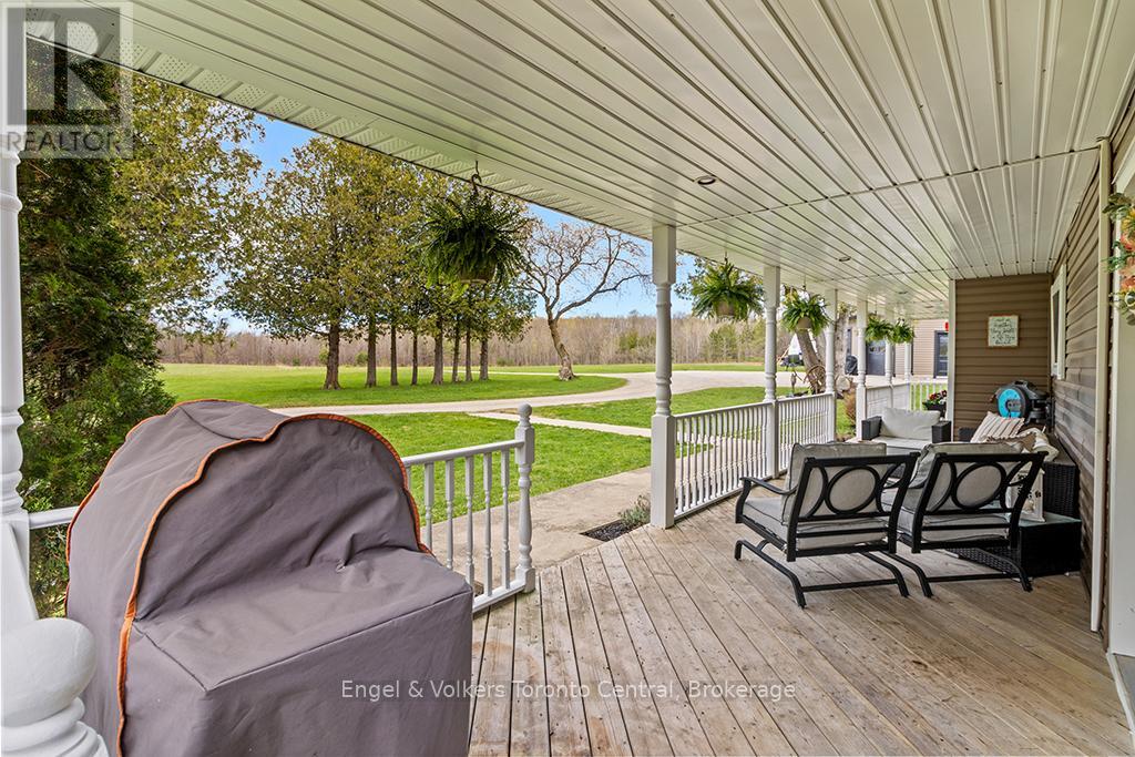 122459 GREY ROAD 5 - 6