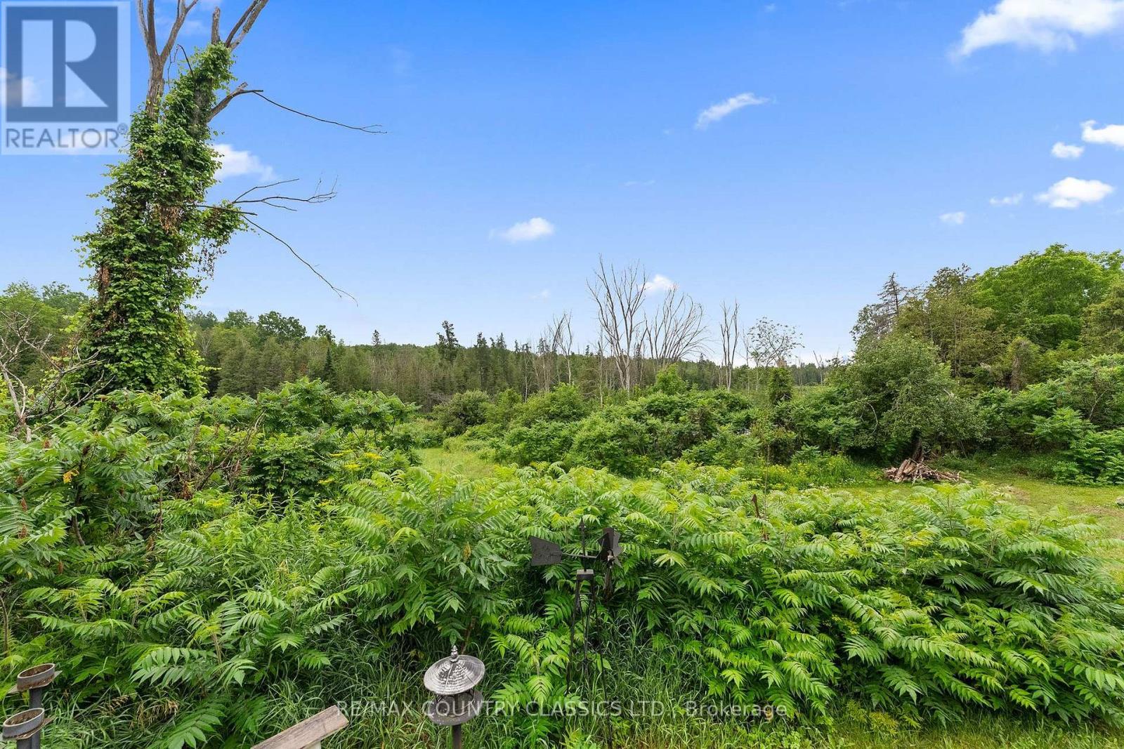 858 ST OLA ROAD - 28