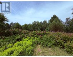 34 Farm Road thumbnail 7