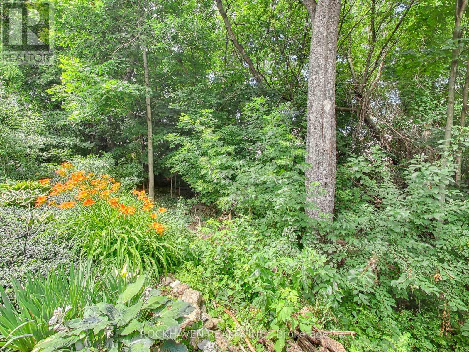 32 MAPLE AVENUE - 5