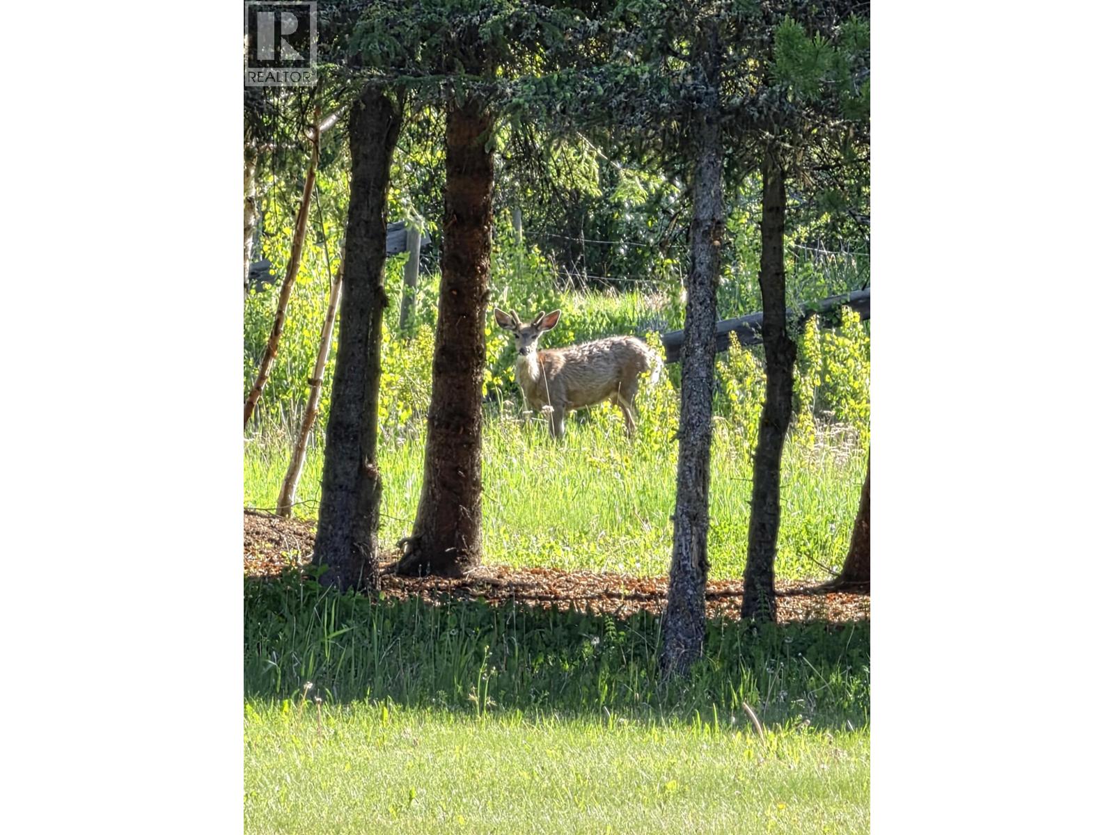 14550 BLACKWATER ROAD - 36