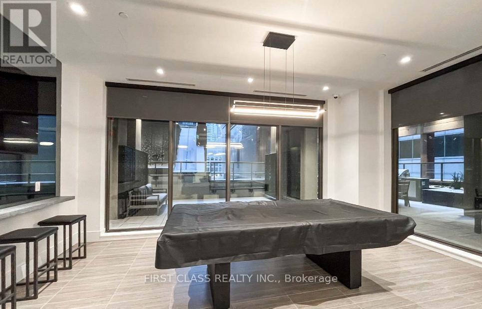 #3905 8 WIDMER STREET - Image 14