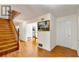 Kitchen - 34 Granby Court, Brampton, ON L6S5K1 Photo 8