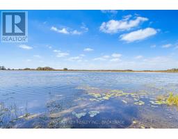 1280 Galt Street, Greater Napanee, ON K0H1G0 Photo 38
