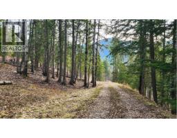 1600 South Sheppard Road, Nelson, BC V1L2J1 Photo 7