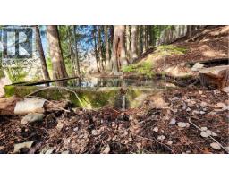 1600 South Sheppard Road, Nelson, BC V1L2J1 Photo 10