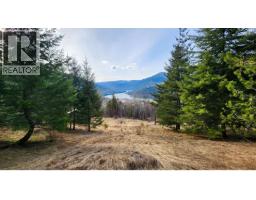 1600 South Sheppard Road, Nelson, BC V1L2J1 Photo 15
