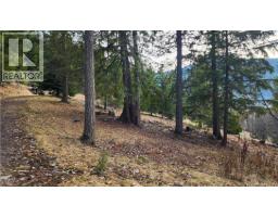 1600 South Sheppard Road, Nelson, BC V1L2J1 Photo 9