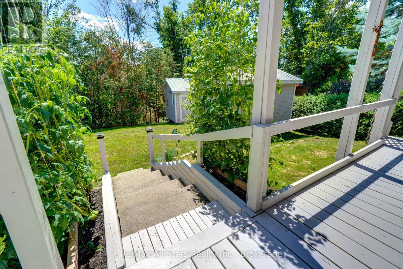 16 CEDARTREE LANE - 39