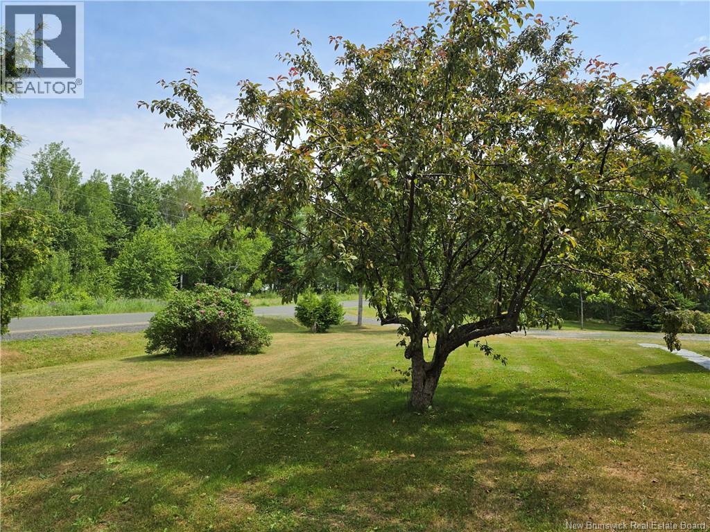 4333 Nicholas-Denys Road - 12