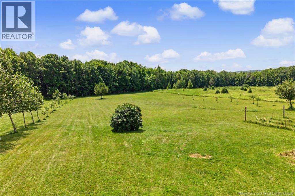 225 Jamieson Road - 41