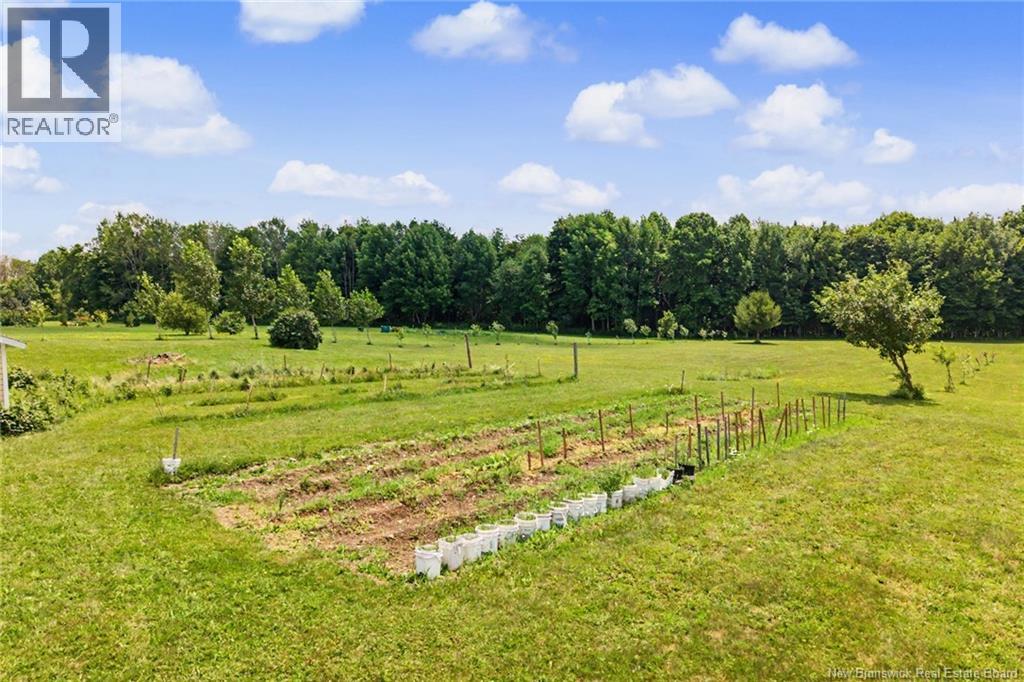 225 Jamieson Road - 42