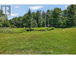 35 Westview Drive, Kawartha Lakes, ON K0L2W0 Photo 38