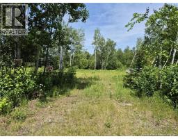 1 Acres Rue Amos, photo 3