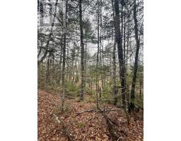 Lot Br-5 203 Highway, Lower Ohio, NS B0T1W0 Photo 13