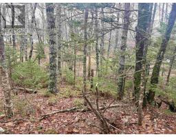 Lot Br-5 203 Highway, Lower Ohio, NS B0T1W0 Photo 16