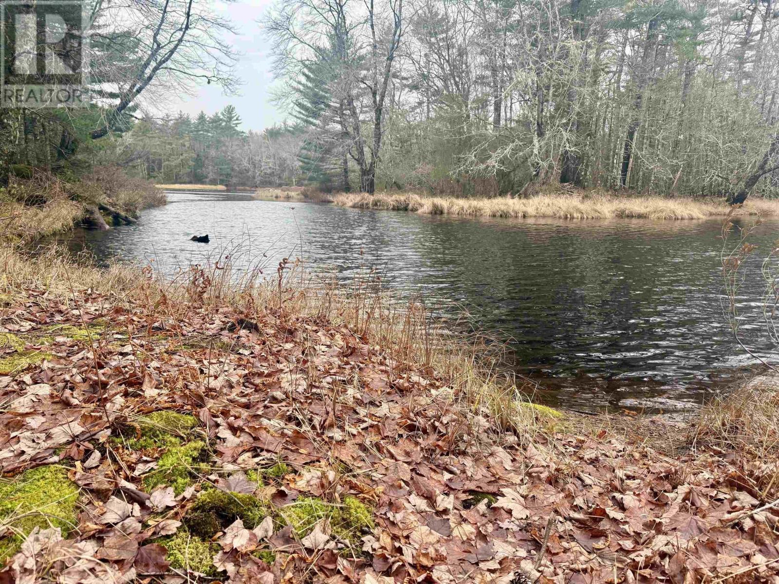 Property 15 of 16 of Lot BR-5 203 Highway