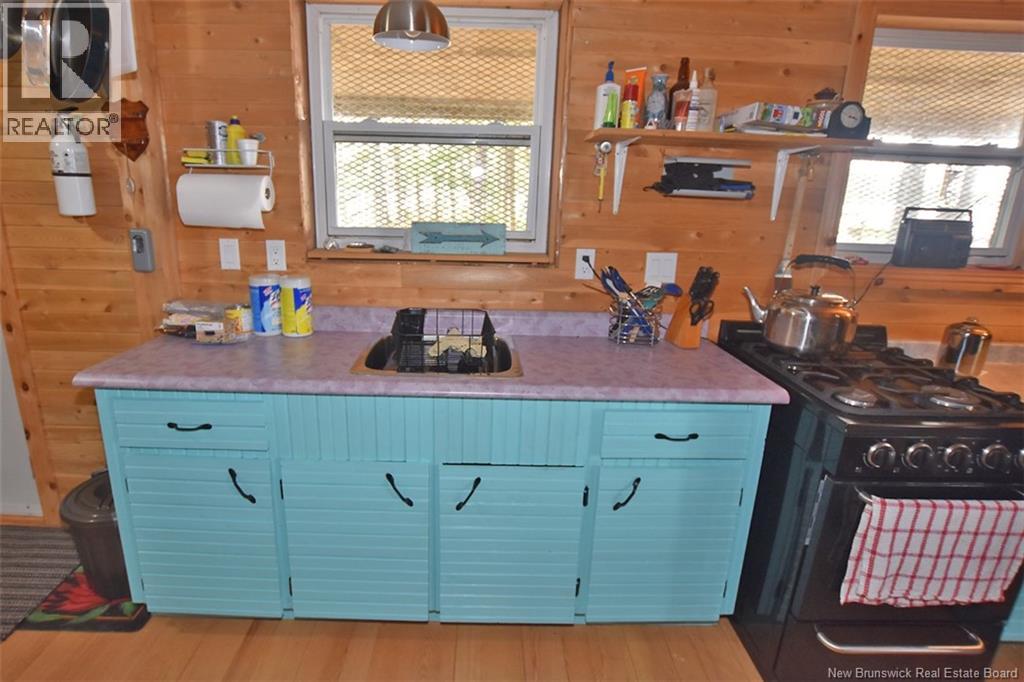 B Island , Harvey Lake - 25