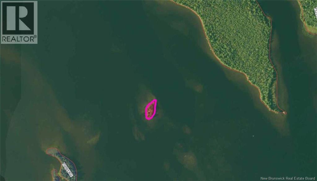 B Island , Harvey Lake - 34