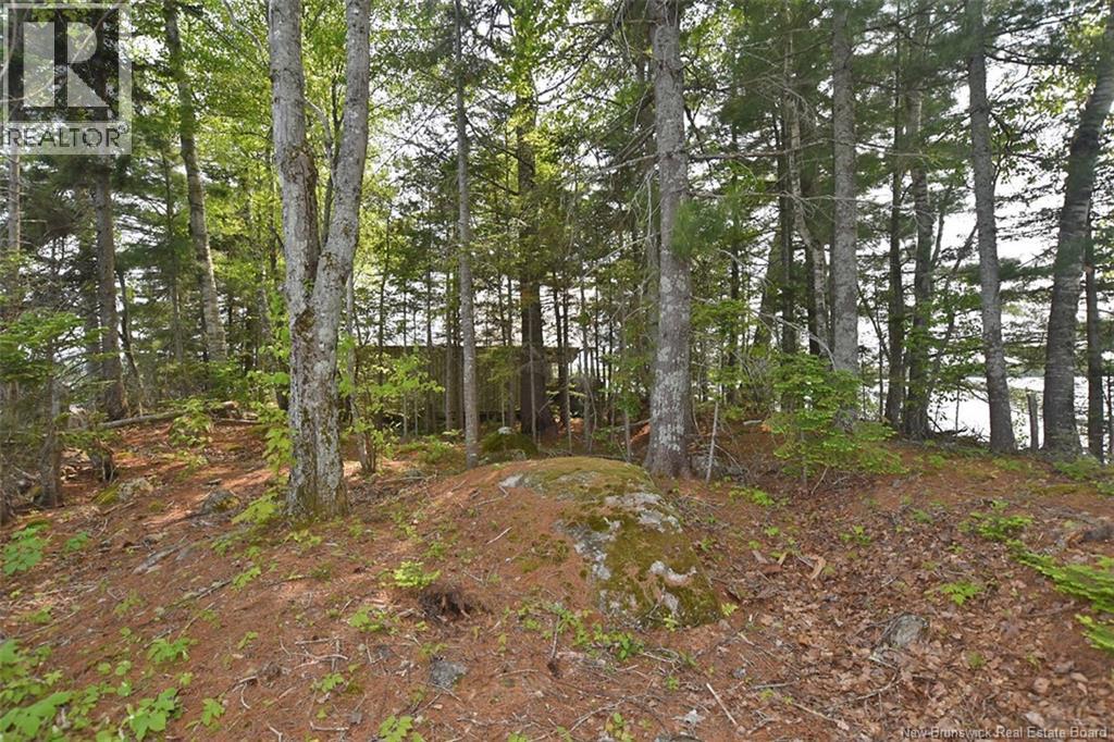 B Island , Harvey Lake - 27
