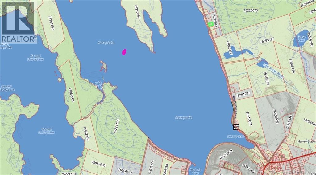 B Island , Harvey Lake - 32