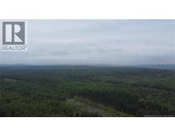 Off Drurys Cove Road, Ratter Corner, NB E4E3K9 Photo 7
