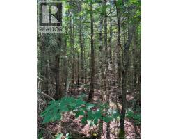 Off Drurys Cove Road, Ratter Corner, NB E4E3K9 Photo 13