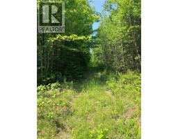 Off Drurys Cove Road, Ratter Corner, NB E4E3K9 Photo 8