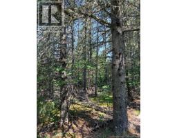 Off Drurys Cove Road, Ratter Corner, NB E4E3K9 Photo 10