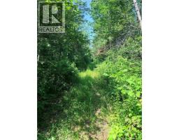 Off Drurys Cove Road, Ratter Corner, NB E4E3K9 Photo 11