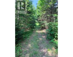 Off Drurys Cove Road, Ratter Corner, NB E4E3K9 Photo 12