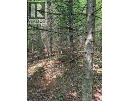 Off Drurys Cove Road, Ratter Corner, NB E4E3K9 Photo 9