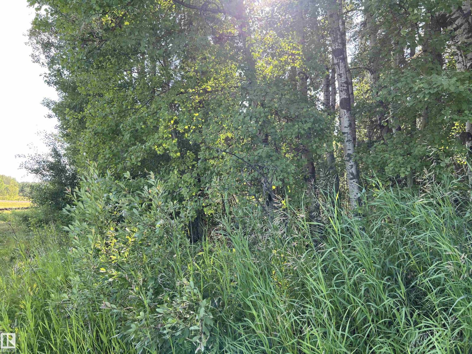 SE 12-49-8- W5M (Lot 2) - Photo 11