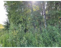Se-12-49-8- W5m (lot 2), Rural Brazeau County, AB T0E1Z0 Photo 11