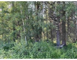 Se-12-49-8- W5m (lot 2), Rural Brazeau County, AB T0E1Z0 Photo 6