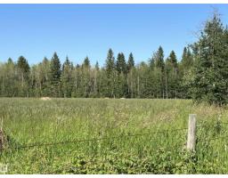 Se-12-49-8- W5m (lot 2), Rural Brazeau County, AB T0E1Z0 Photo 8