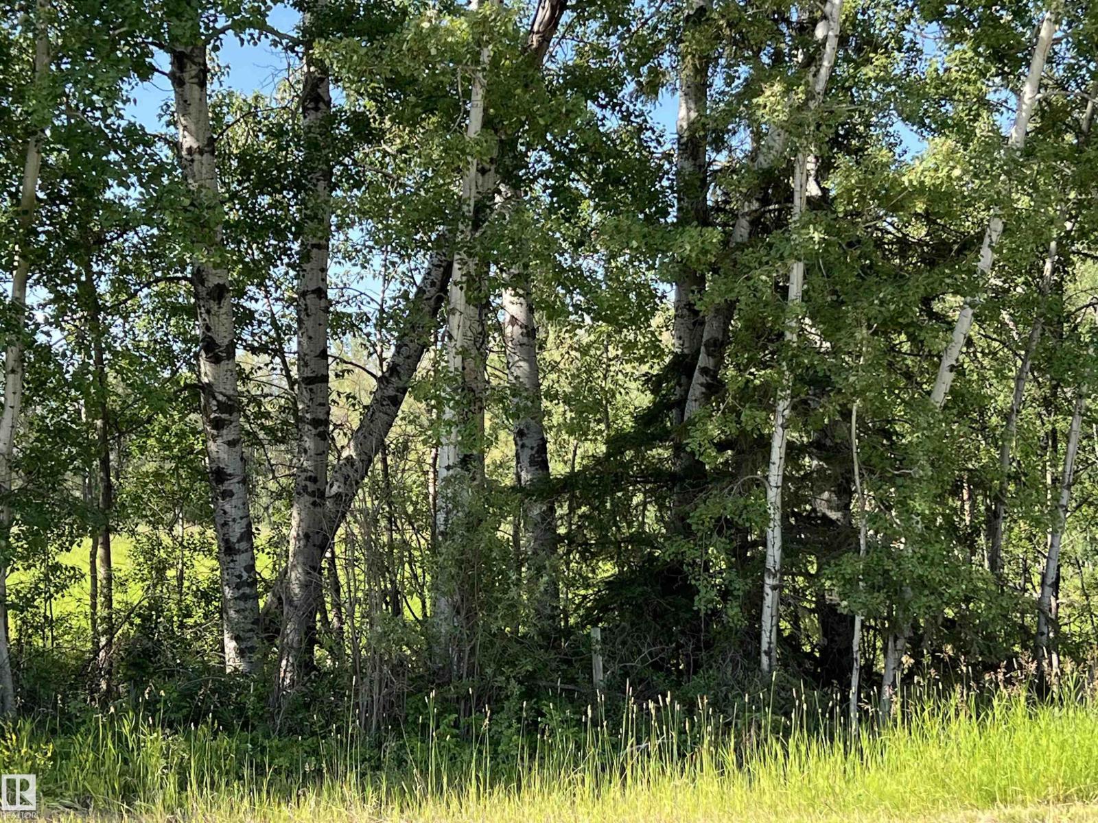 SE 12-49-8- W5M (Lot 2) - Photo 7