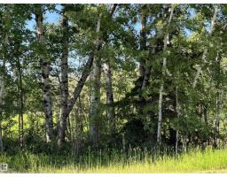 Se-12-49-8- W5m (lot 2), Rural Brazeau County, AB T0E1Z0 Photo 7