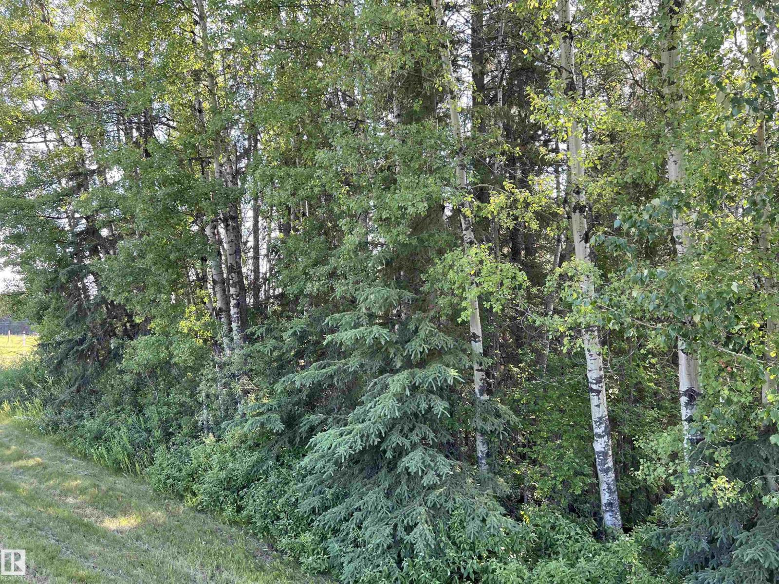 SE 12-49-8- W5M (Lot 2) - Photo 12